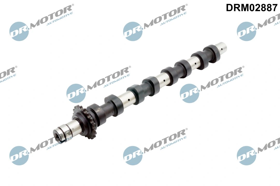 Camshaft